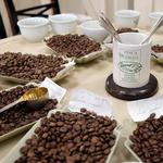 Coffee Tasting Tour