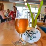 Flytrap Brewing