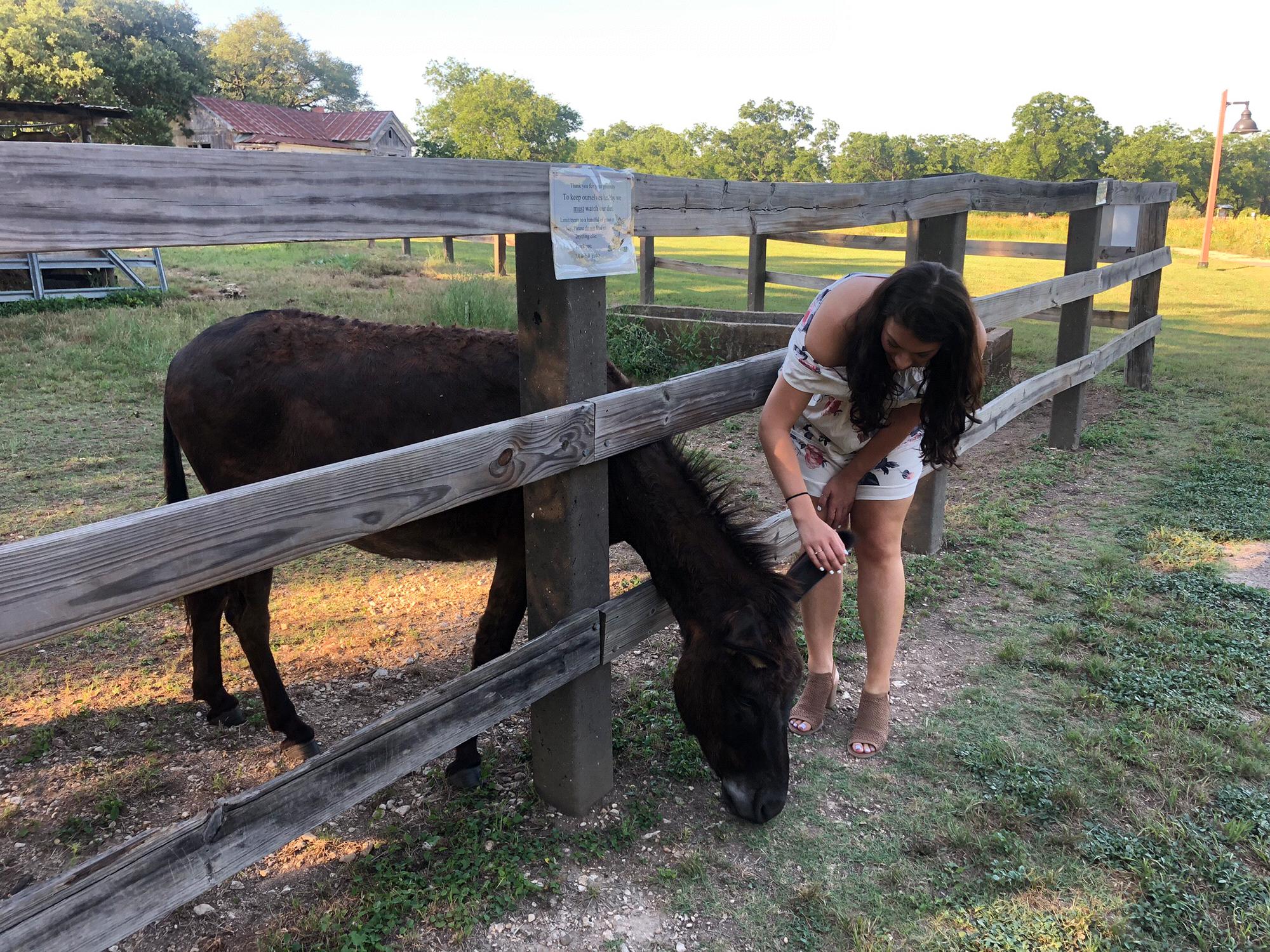 The donkey Landon used to lure me to the proposal site!
