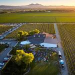 Hannah Nicole Vineyards