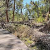 Natural Bridges Monarch Trail