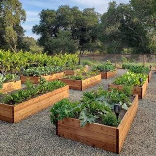 Help us build a garden!