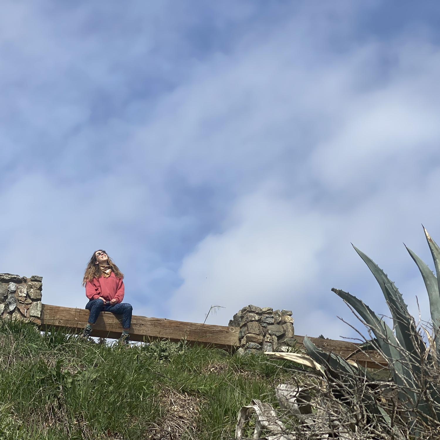 big sur
