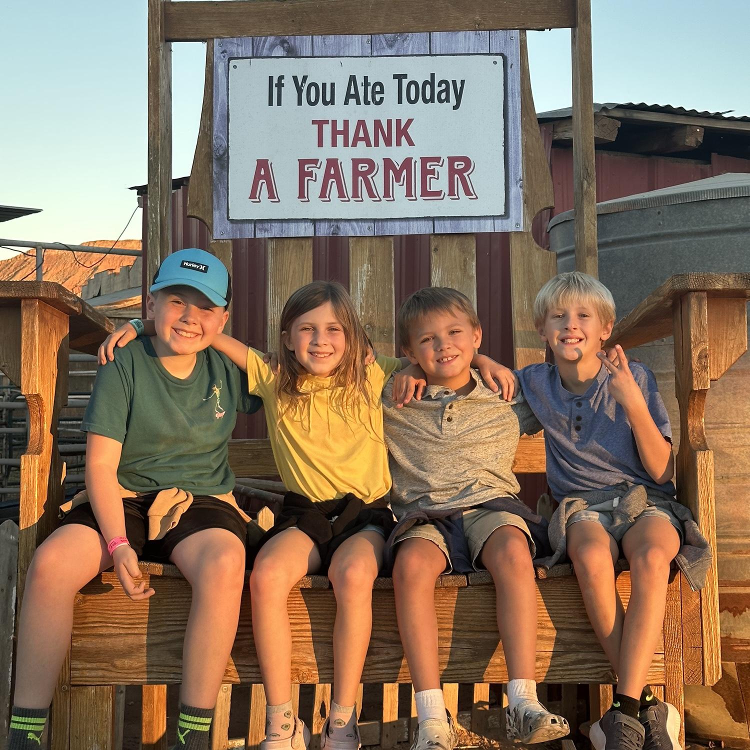 Fall festival 2025