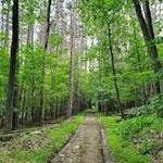 Middletown Reservoir Trails