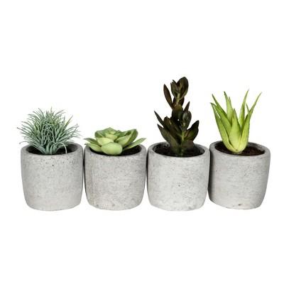 Vickerman Artificial Assorted Potted Artificial Succulents