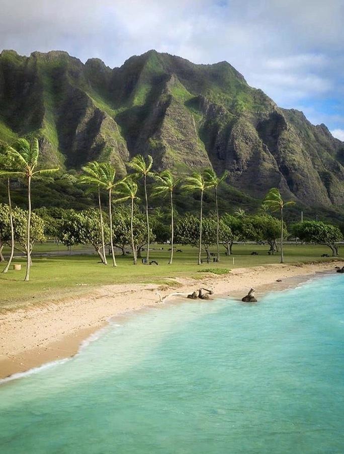 1e896224-0642-4a4e-b736-dcddad591f1e