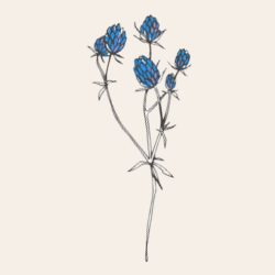 The Wedding Website of Regina Czech and Matthew Millar