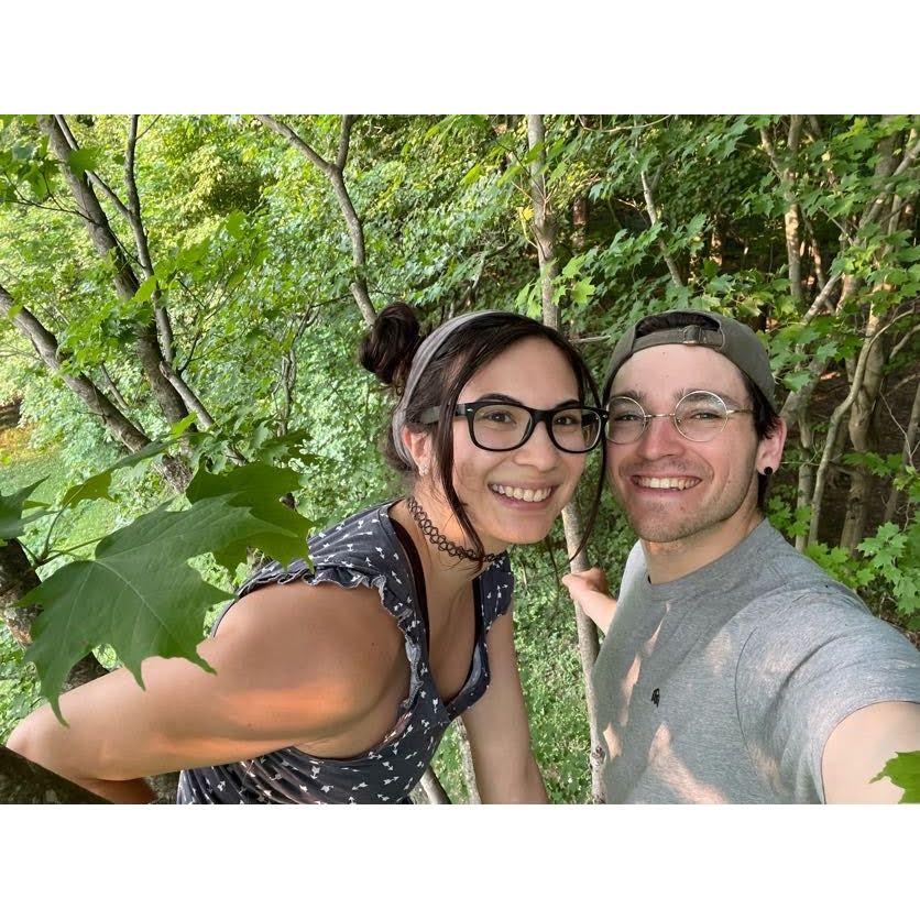 Up in my favorite childhood climbing tree!