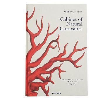 Cabinet Of Natural Curiosities Coffee Table Book