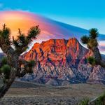 Red Rock Canyon National Conservation Area