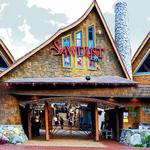 Sawdust Art Festival