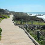 Moonstone Beach Drive
