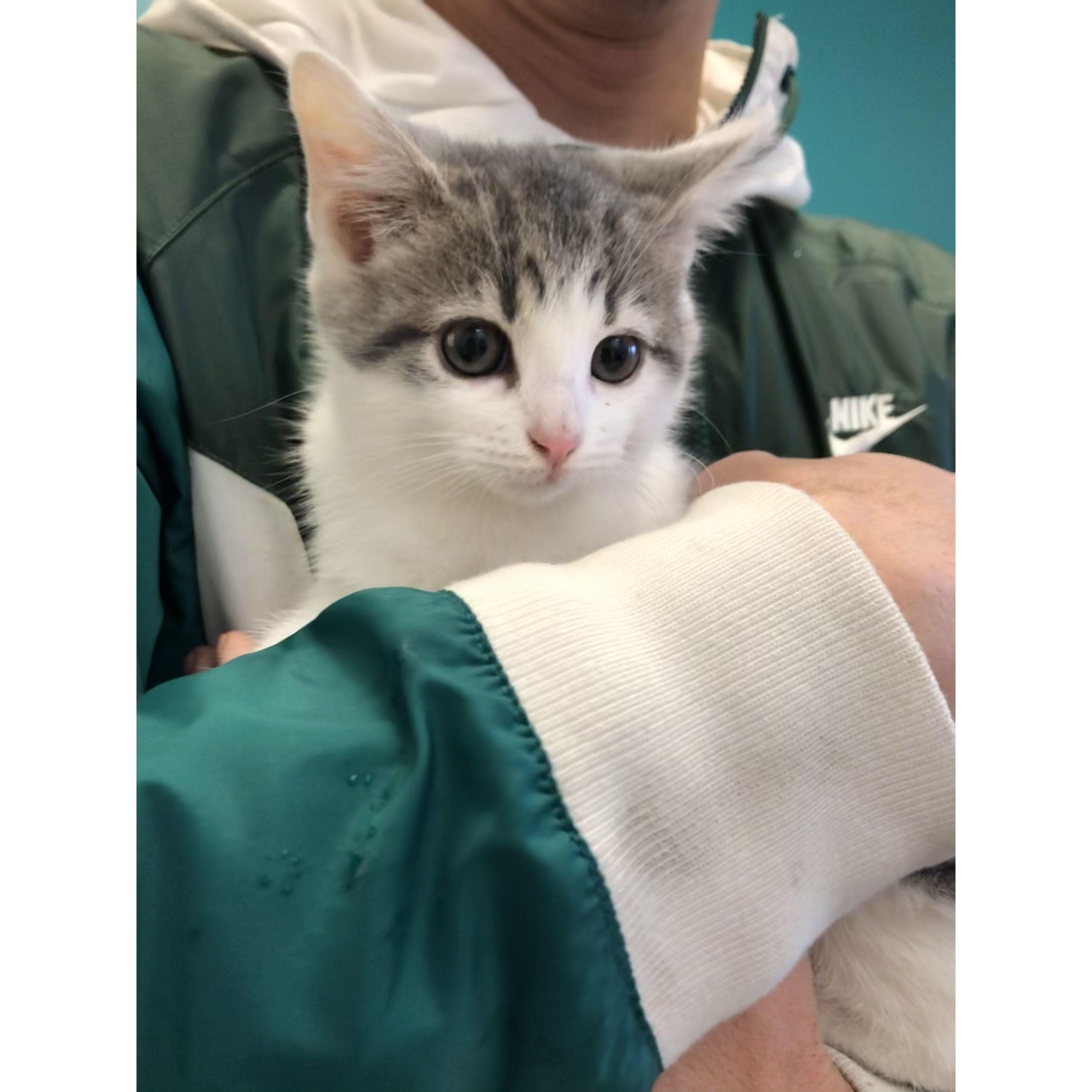 We welcomed a new member to our family in early 2020 when we adopted Edith