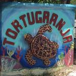 Turtle Farm