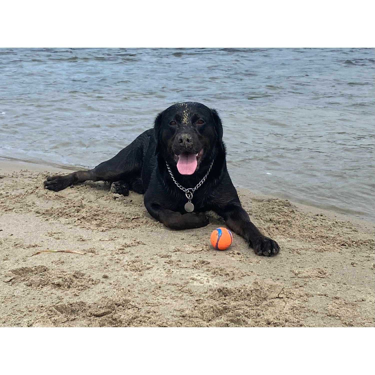 Miller loves Yachats too!