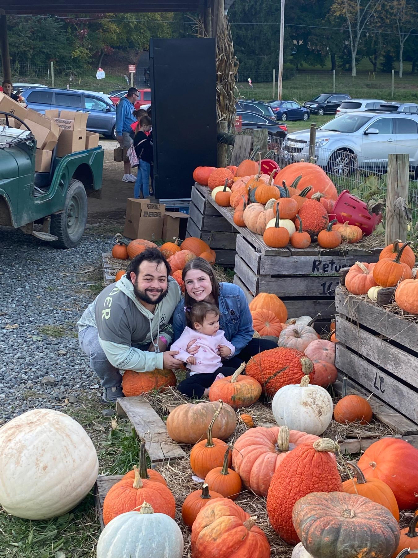 Pumpkin Picking