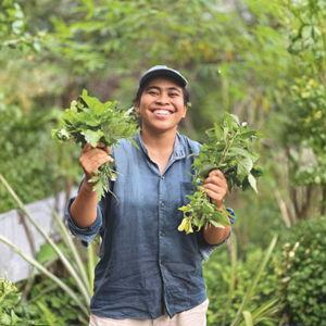 Balinese Jungle Foraging