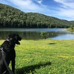 Lyman Run State Park