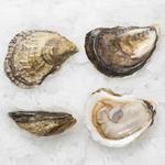 Goatfeathers Seafood Market East