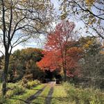 Catskill Scenic Trail