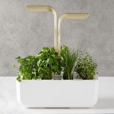 Véritable® CONNECT Garden, Moonlight Gold