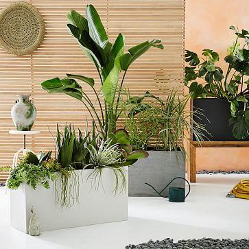 Cityscape Planters - Triple