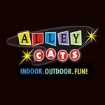 Alley Cats Entertainment