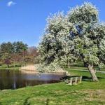 Bruce Park