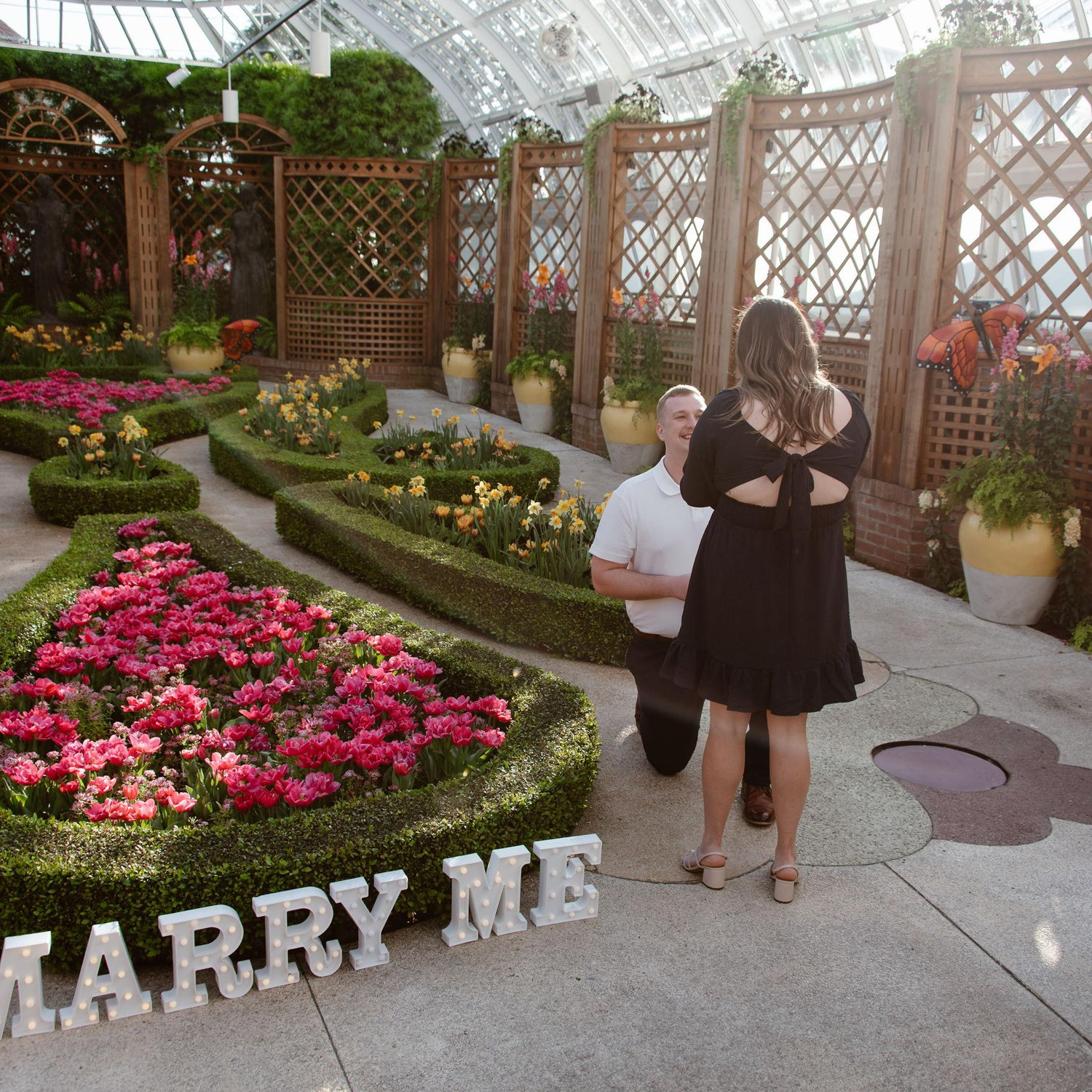 4.14.24 - The day Josh proposed at Phipps Conservatory & Botanical Gardens