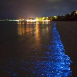 Bahía Bioluminiscente