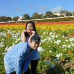 Carlsbad Flower Fields