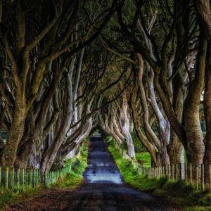 Giant's Causeway & Northern Ireland Highlights for 2