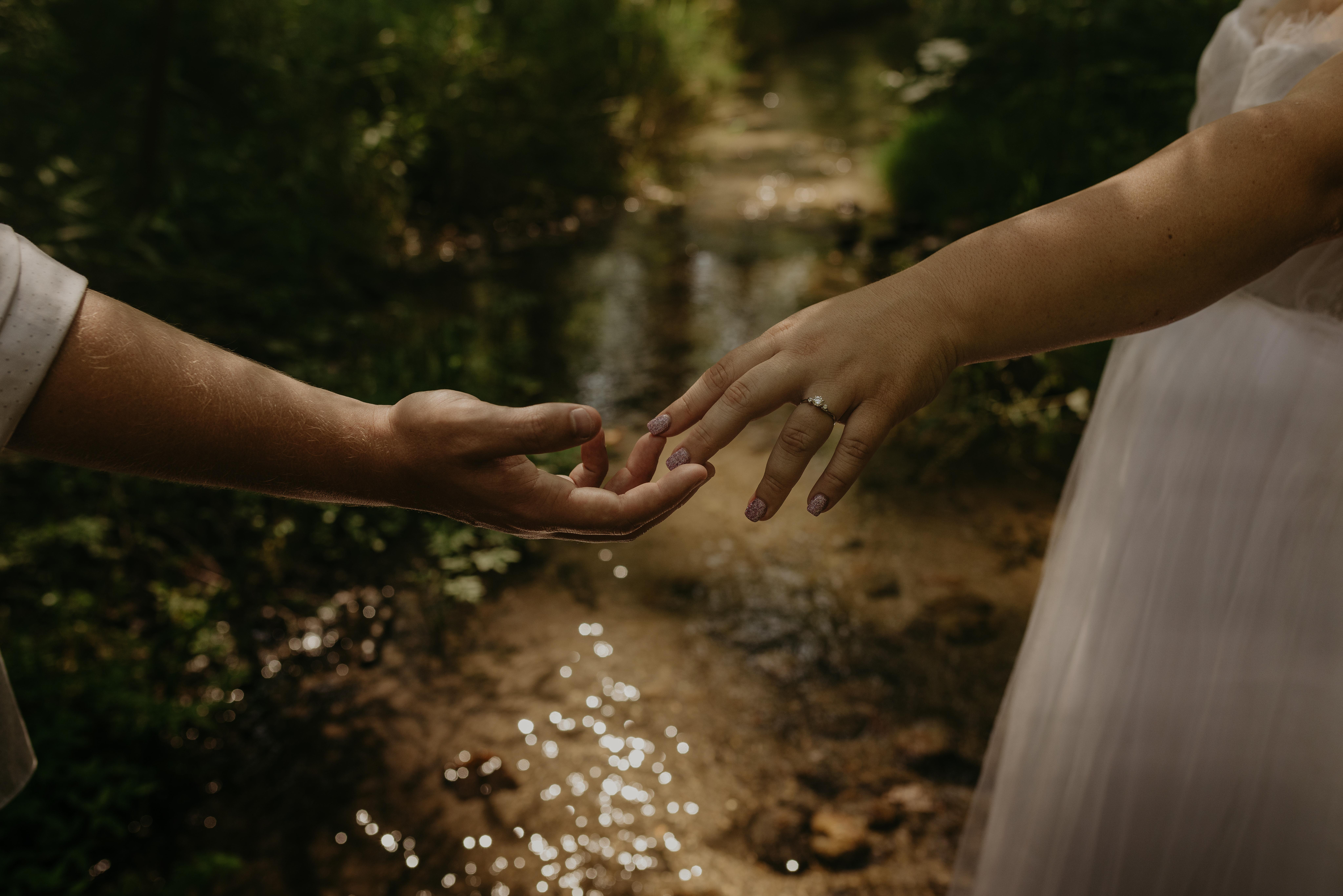 The Wedding Website of Christina Viglietta and Forrest South