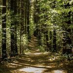 Woldumar Nature Center