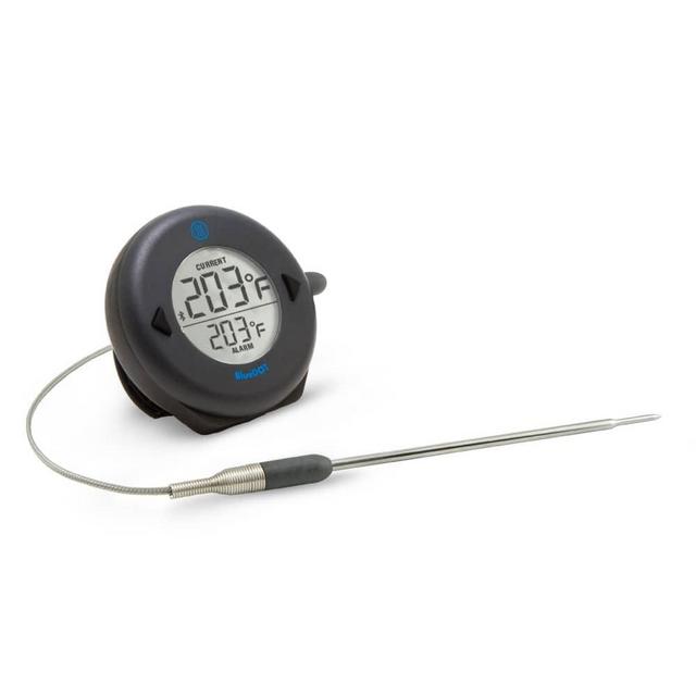 ThermoWorkd BlueDOT® Alarm Thermometer