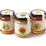 Big Island Bees Tour