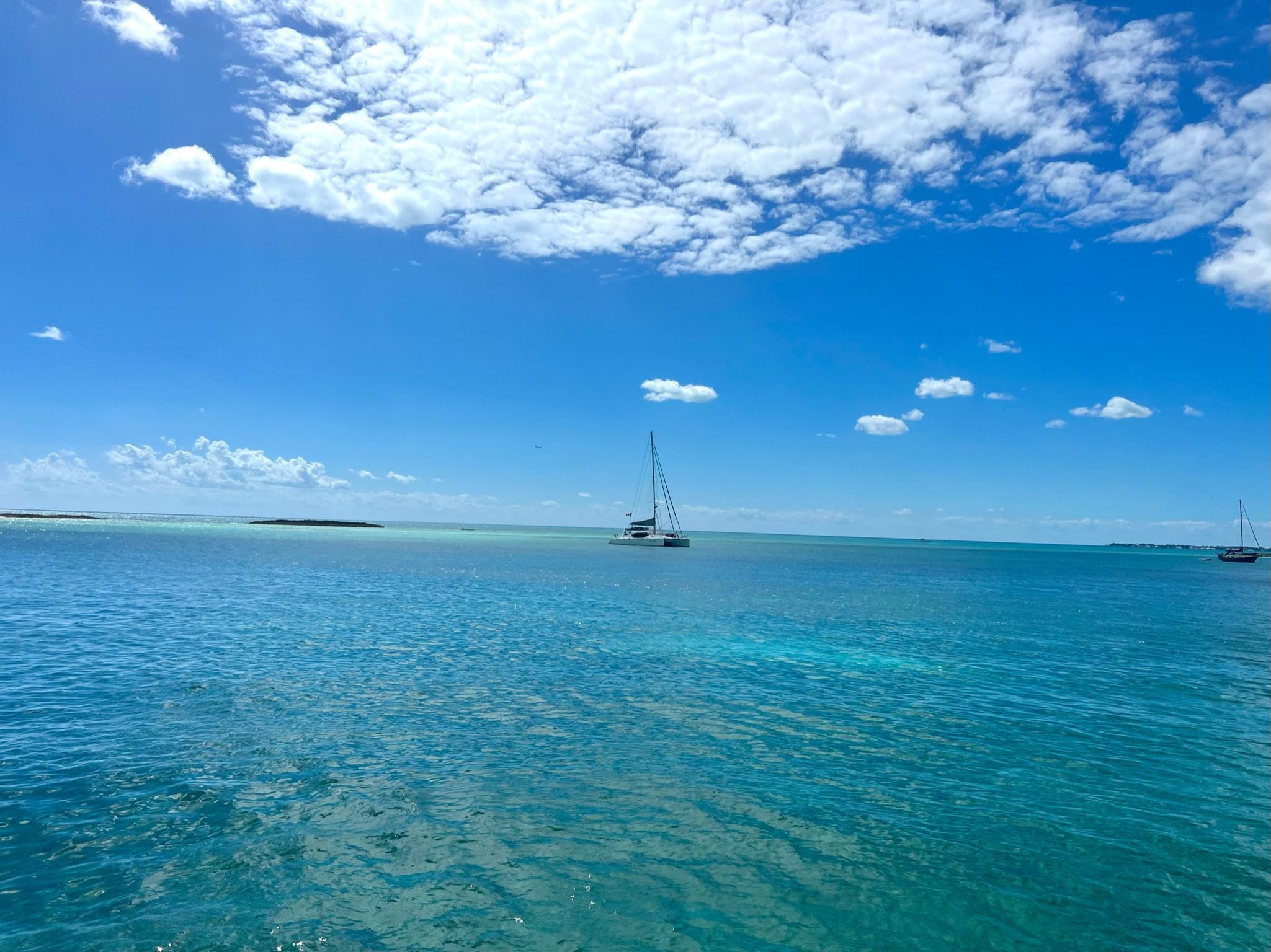 1ea226b0-3e57-4708-8aad-9b0ddacf5a86