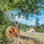 Orcas Island Winery