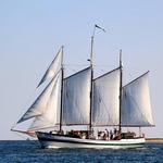 Schooner Pride | Charleston Tours & Events