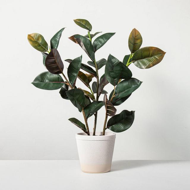 33" Faux Rubber Leaf Potted Plant - Hearth & Hand™ with Magnolia