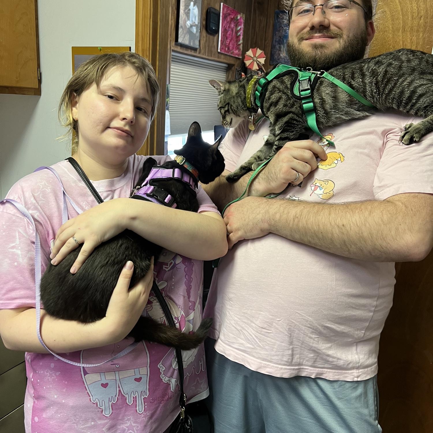 Bringing the cats to IL to meet the family!