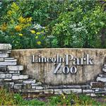 The Lincoln Park Zoo