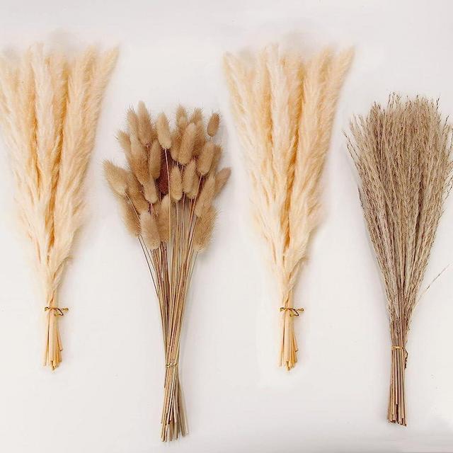 Natural Dried Pampas Grass Decor, Beige Pampas Grass, Bunny Tails Dried Flowers, Reed Grass Bouquet for Wedding Boho Flowers Home Table Decor, Rustic Farmhouse Party (100 in Total )