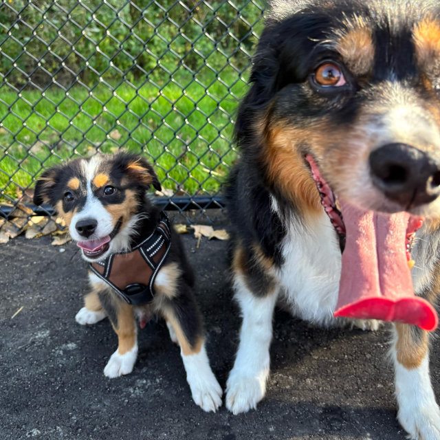 Our Rusty & RJ Fund