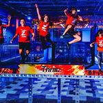 Thrillz High Flying Adventure Park