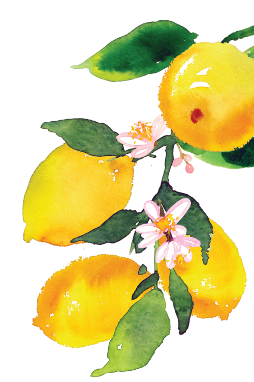 Katherine Liu and Joseph Klemme's Wedding site