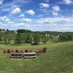 Nostrano Vineyards