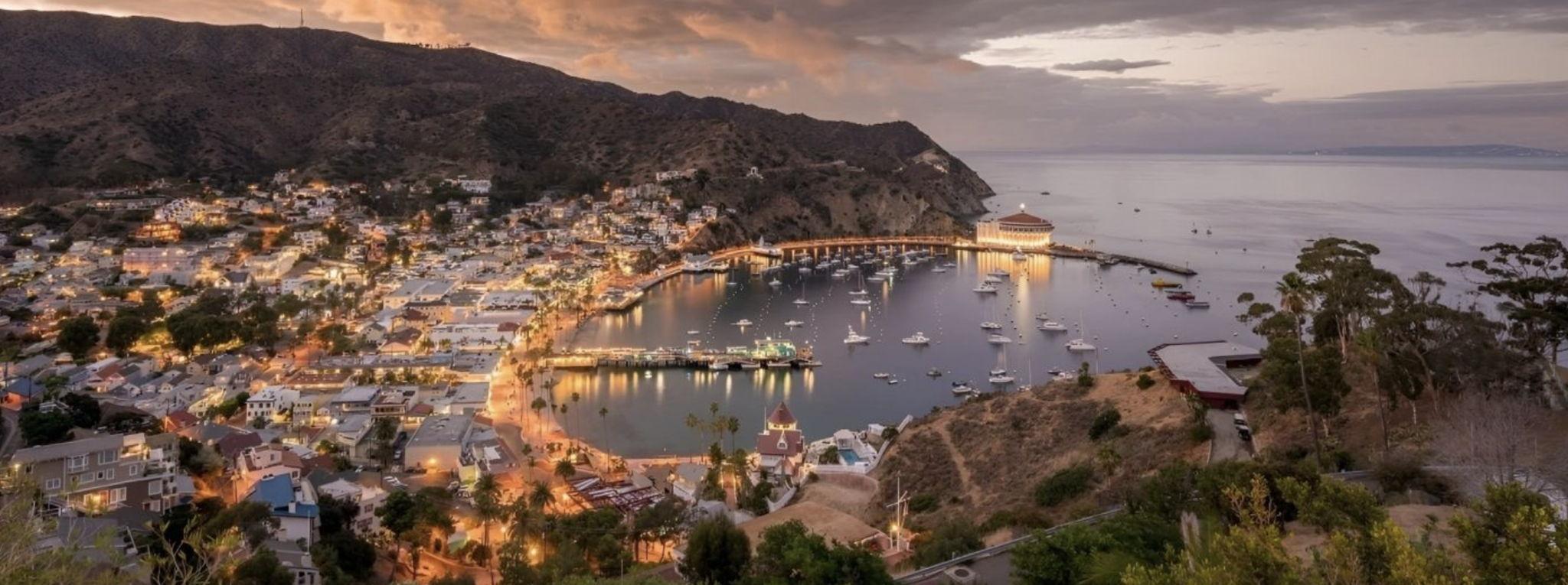 The Wedding Website of Billy Brody and Emily McAlindin