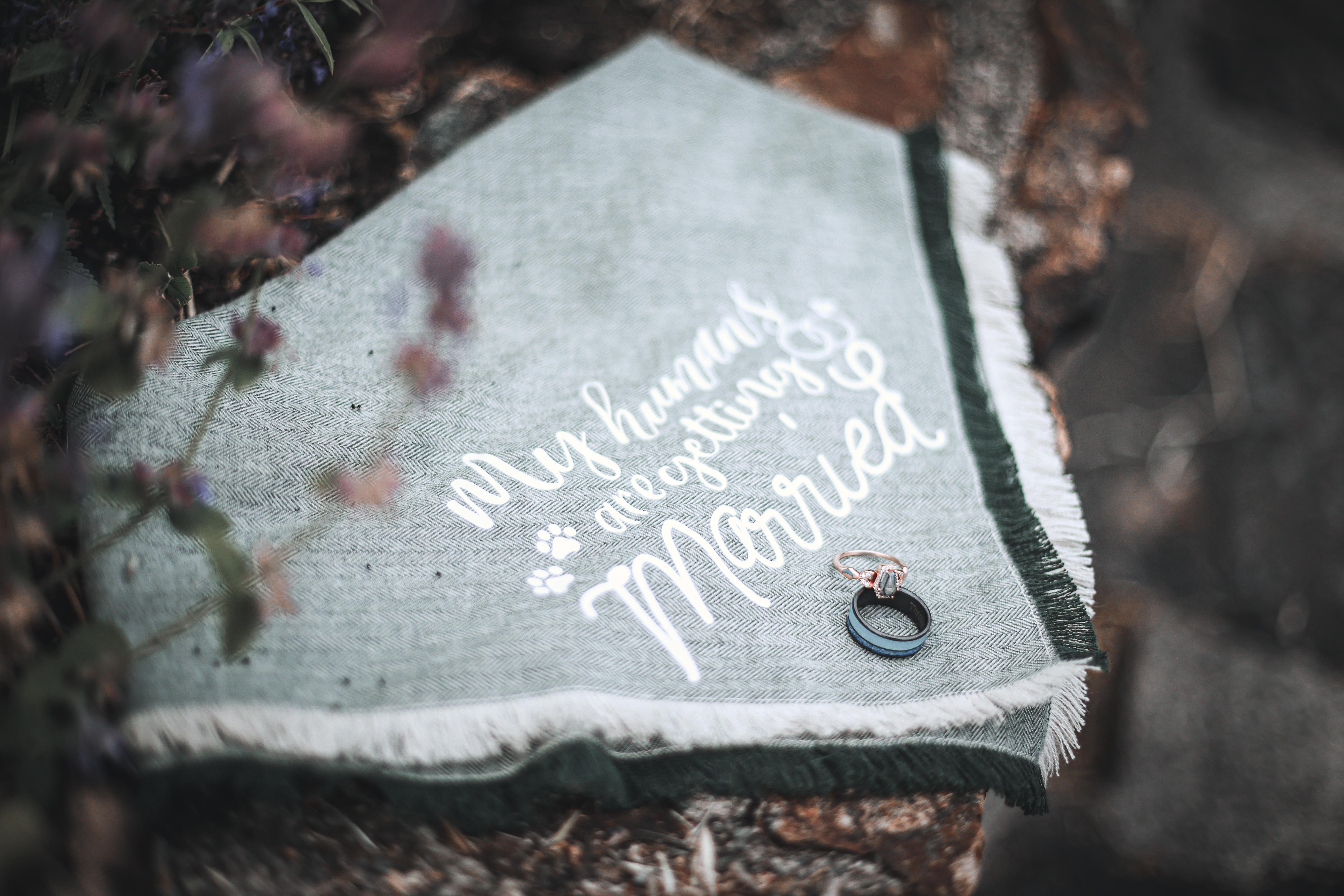 The Wedding Website of Courtney Conway and Roy Mofield